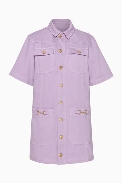 The Painters Denim Mini Dress