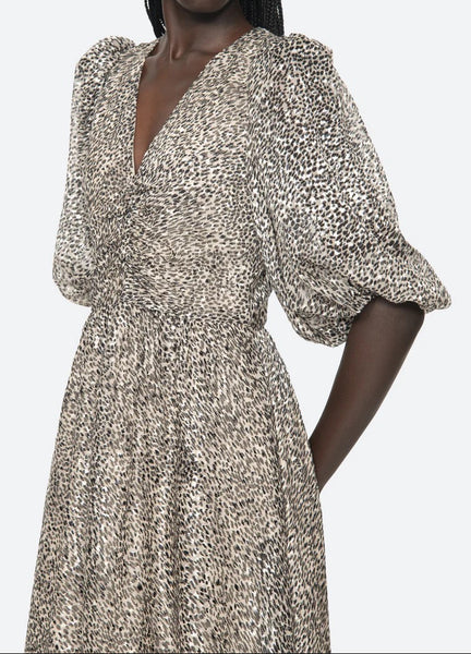 Charlize Ruched S/SLV Dress