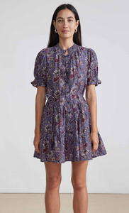 las alturas mini dress Las Alturas Mini Dress in Dutch Floral