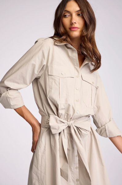 Asterin Dress