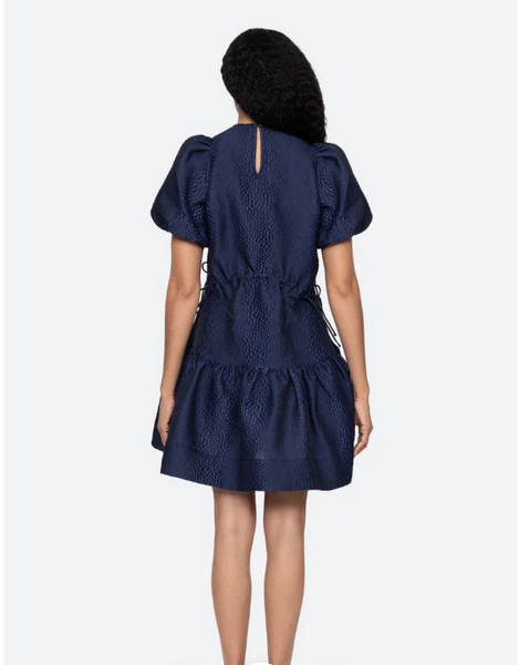 Fayetta Mini Dress